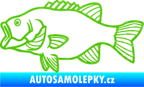Samolepka Ryba 015 levá 3D karbon zelený kawasaki