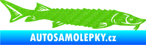 Samolepka Ryba 020 pravá jeseter 3D karbon zelený kawasaki
