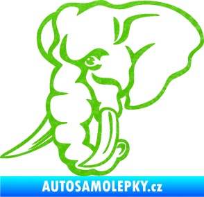 Samolepka Slon 026 levá hlava 3D karbon zelený kawasaki