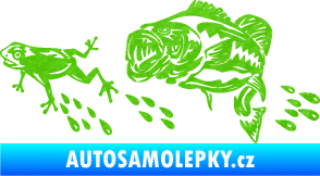 Samolepka Sumec 005 pravá se žábou 3D karbon zelený kawasaki