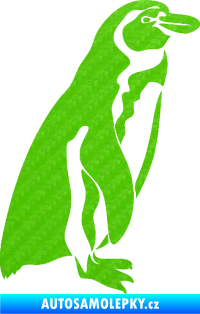 Samolepka Tučňák 001 pravá 3D karbon zelený kawasaki