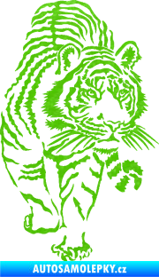 Samolepka Tygr 001 pravá 3D karbon zelený kawasaki
