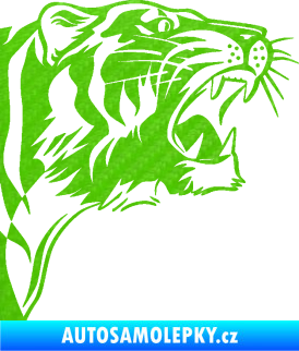 Samolepka Tygr 002 pravá 3D karbon zelený kawasaki