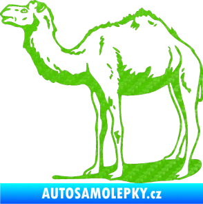 Samolepka Velbloud 001 levá 3D karbon zelený kawasaki