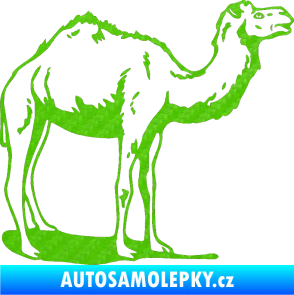 Samolepka Velbloud 001 pravá 3D karbon zelený kawasaki