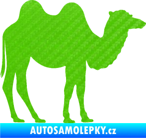 Samolepka Velbloud 003 pravá 3D karbon zelený kawasaki