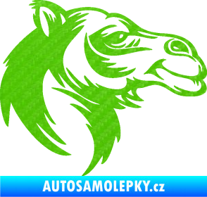 Samolepka Velbloud 004 pravá hlava 3D karbon zelený kawasaki