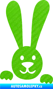 Samolepka Zajíc na bok 002 pravá 3D karbon zelený kawasaki