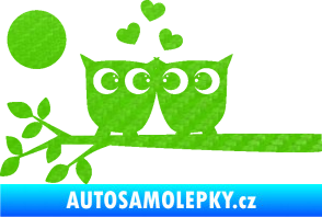 Samolepka Zamilované sovy levá na větvičce 3D karbon zelený kawasaki