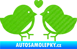 Samolepka Zamilovaní ptáčci 001 se srdíčkem 3D karbon zelený kawasaki