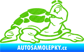 Samolepka Želva 003 pravá 3D karbon zelený kawasaki