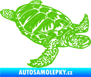 Samolepka Želva 005 pravá 3D karbon zelený kawasaki
