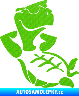 Samolepka Želva 006 pravá pohoda 3D karbon zelený kawasaki