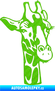Samolepka Žirafa 001 pravá 3D karbon zelený kawasaki