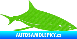 Samolepka Žralok 008 pravá 3D karbon zelený kawasaki