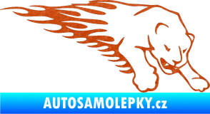 Samolepka Animal flames 020 pravá puma 3D karbon oranžový