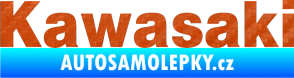 Samolepka Kawasaki 3D karbon oranžový
