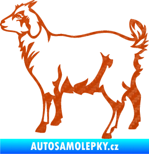 Samolepka Koza 002 levá 3D karbon oranžový