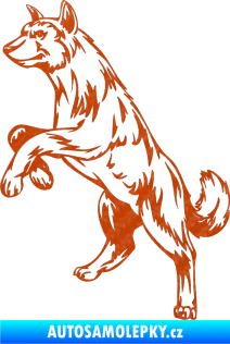 Samolepka Pes 025 levá 3D karbon oranžový