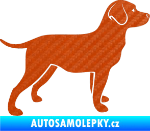 Samolepka Pes 062 pravá Labrador 3D karbon oranžový