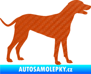 Samolepka Pes 095 pravá Dalmatin 3D karbon oranžový