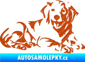 Samolepka Pes 106 pravá Retrívr 3D karbon oranžový