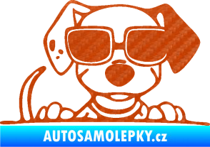 Samolepka Pes s brýlemi 101 pravá v autě 3D karbon oranžový