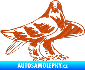 Samolepka Predators 047 pravá 3D karbon oranžový