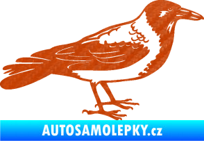 Samolepka Vrána 001 pravá 3D karbon oranžový