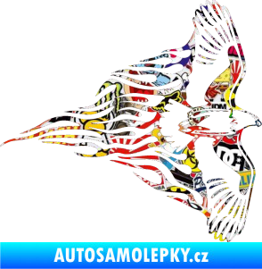 Samolepka Animal flames 019 pravá letící orel Sticker bomb