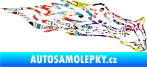 Samolepka Animal flames 080 pravá gepard Sticker bomb