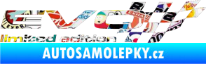 Samolepka Evo limited edition pravá Sticker bomb