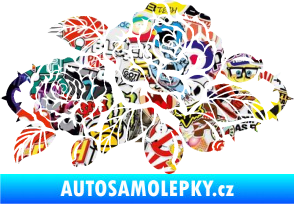 Samolepka Interiér 004 pravá růže šípková Sticker bomb