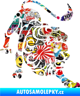 Samolepka Lev zvěrokruh 004 pravá Sticker bomb