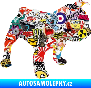 Samolepka Pes 108 pravá Francouzský buldoček Sticker bomb