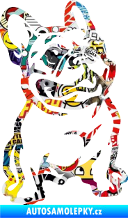 Samolepka Pes 139 pravá francouzský buldoček Sticker bomb