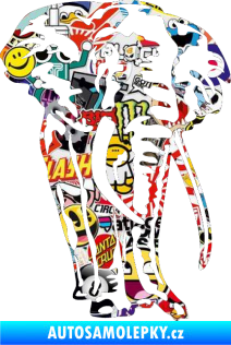 Samolepka Slon 025 pravá Sticker bomb