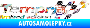 Samolepka Tempra limited edition pravá Sticker bomb