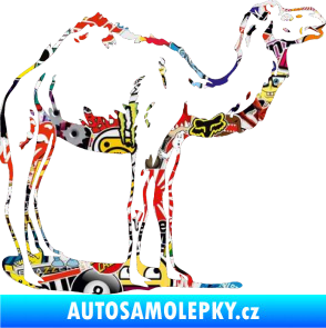 Samolepka Velbloud 001 pravá Sticker bomb