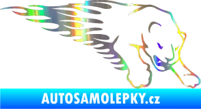 Samolepka Animal flames 020 pravá puma Holografická