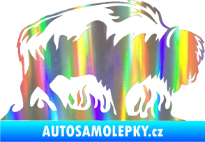 Samolepka Animal flames 071 pravá býk Holografická