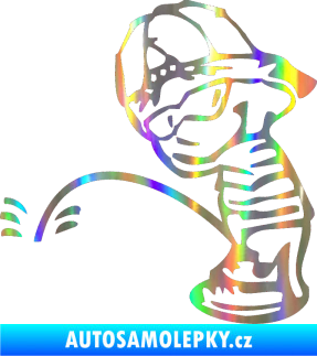 Samolepka Boy čůrá levá Holografická