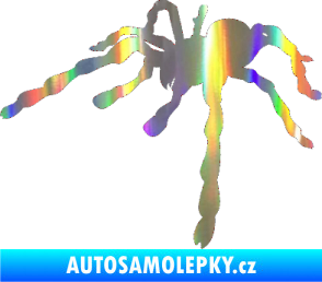 Samolepka Pavouk 013 - levá Holografická