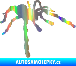 Samolepka Pavouk 013 - pravá Holografická