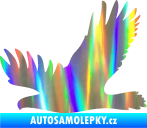 Samolepka Dravec na sklo 004 levá Holografická