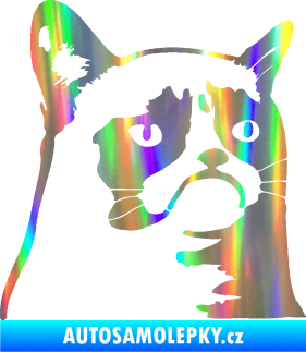 Samolepka Grumpy cat 002 pravá Holografická