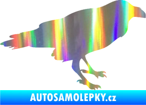 Samolepka Havran 001 pravá Holografická