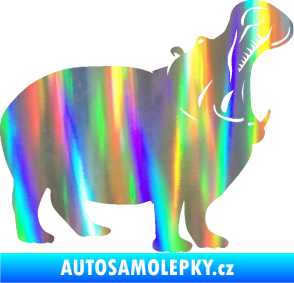 Samolepka Hroch 002 pravá Holografická