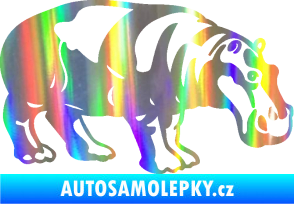 Samolepka Hroch 003 pravá Holografická