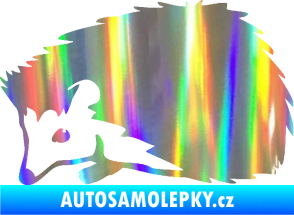 Samolepka Ježek 002 levá Holografická
